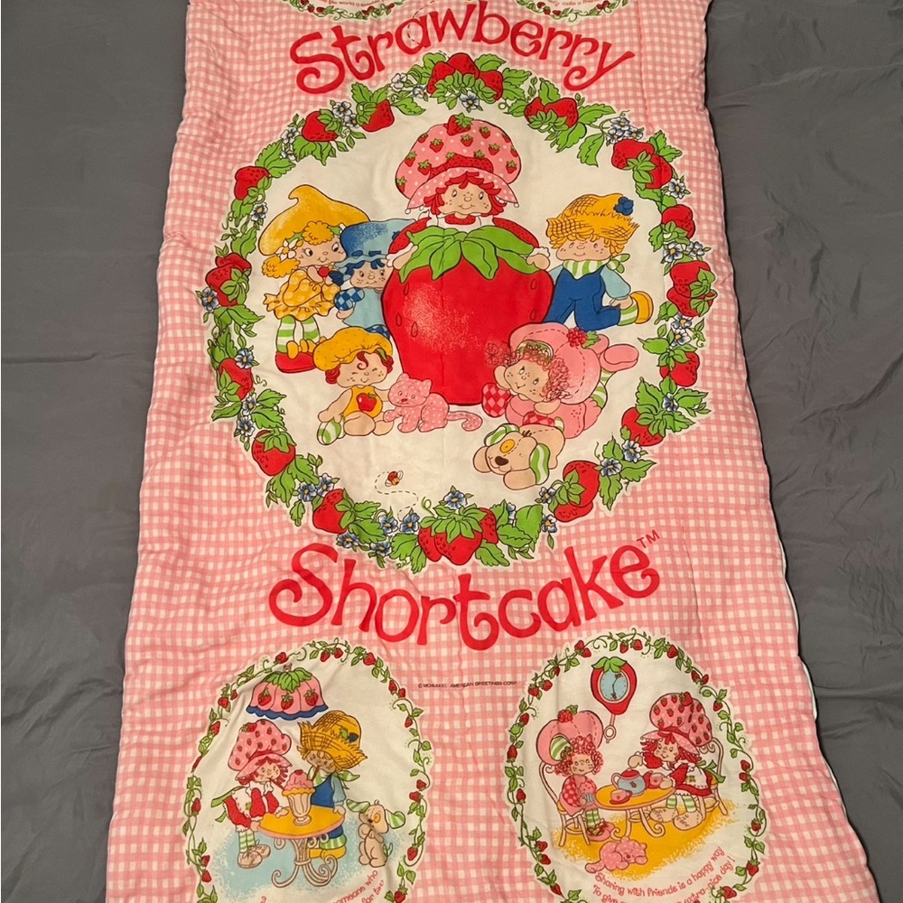 Pink and Red Strawberry Shortcake Vintage Sleeping Bag